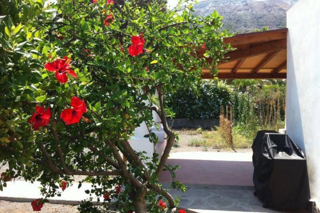 Villa By The Vulcano - 70Mq Plus Large Garden And Patio Εξωτερικό φωτογραφία