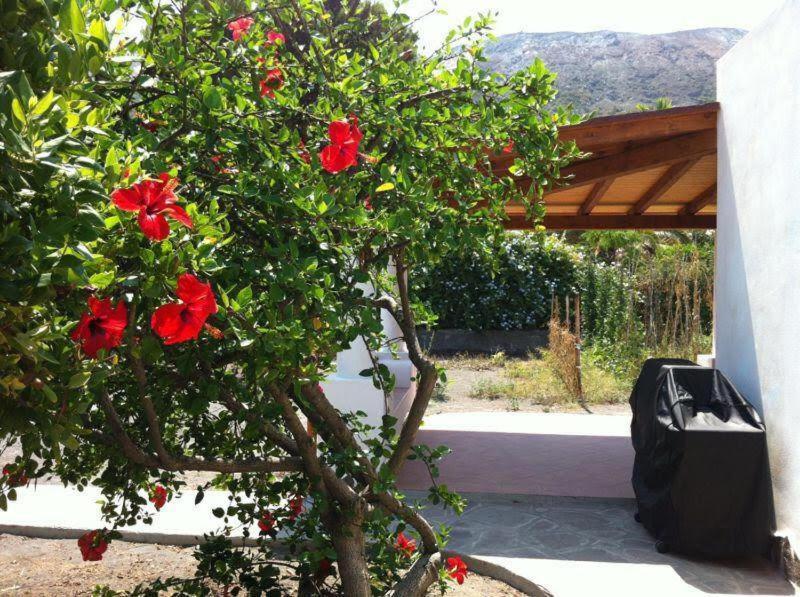 Villa By The Vulcano - 70Mq Plus Large Garden And Patio Εξωτερικό φωτογραφία